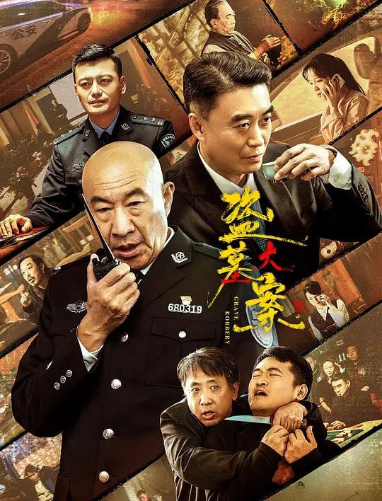 盗墓大案 追捕行动封面