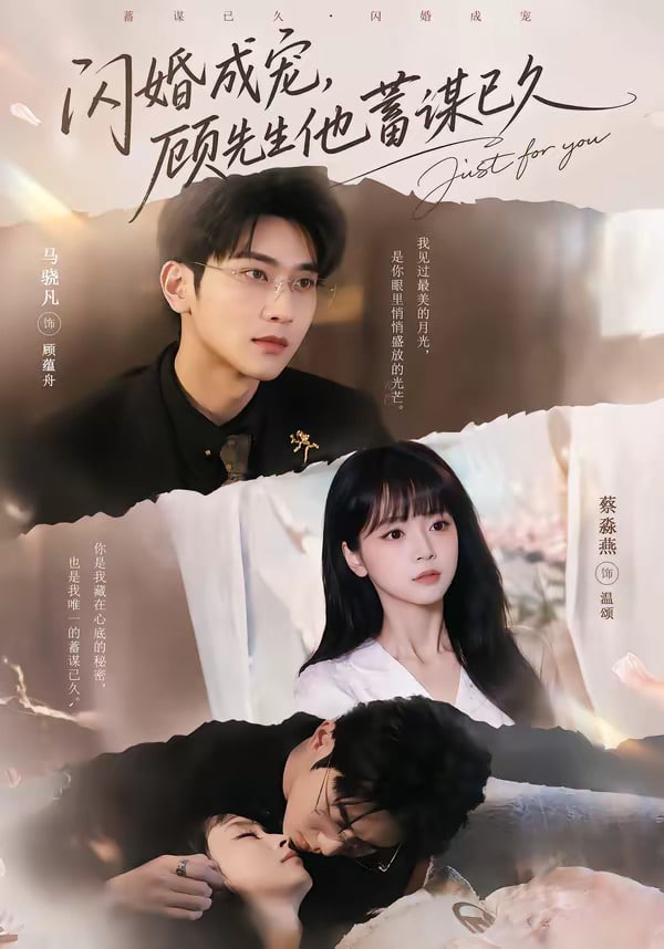 闪婚成宠，顾先生他蓄谋已久封面