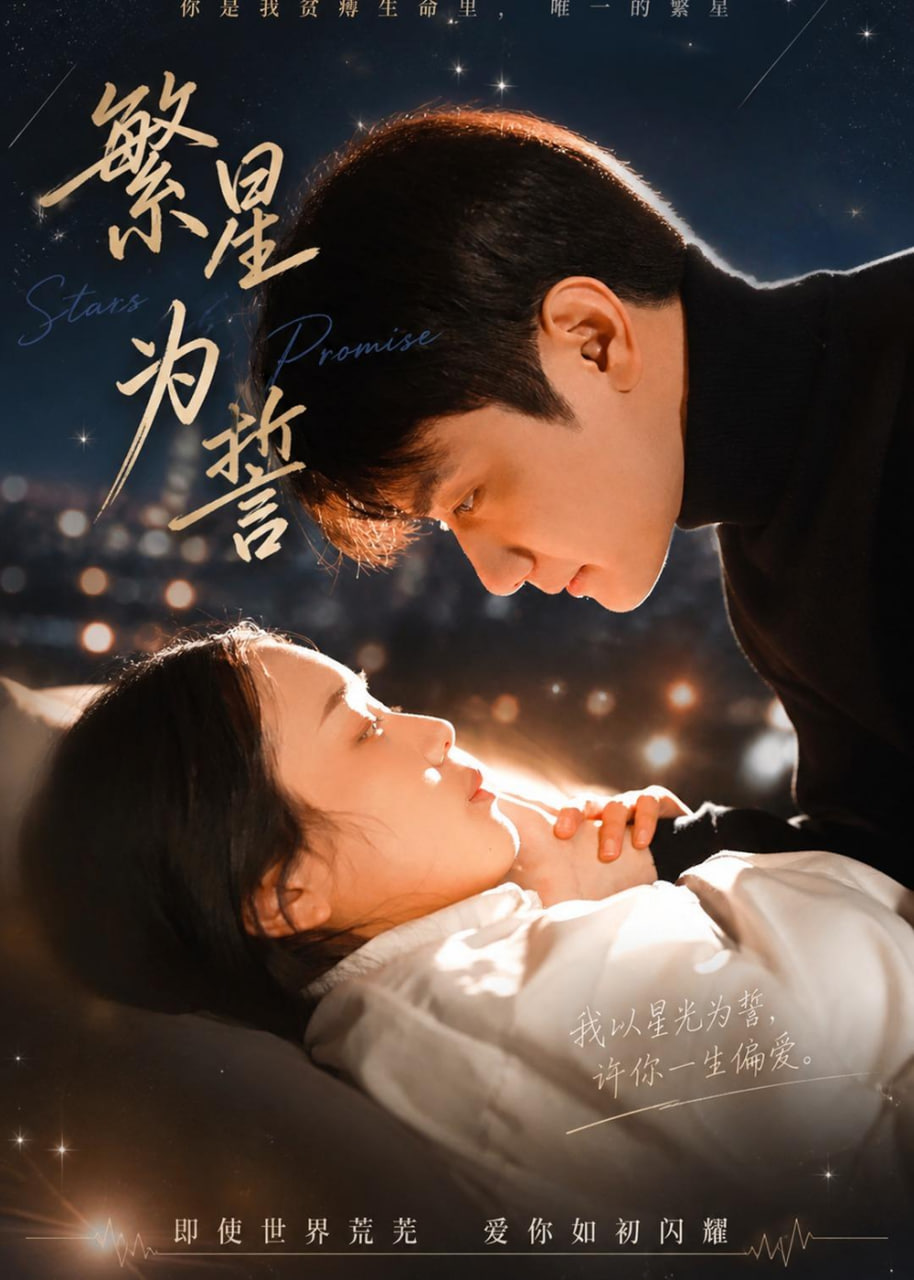 繁星为誓封面