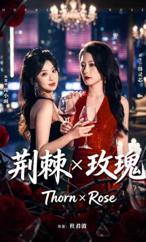 荆棘X玫瑰封面