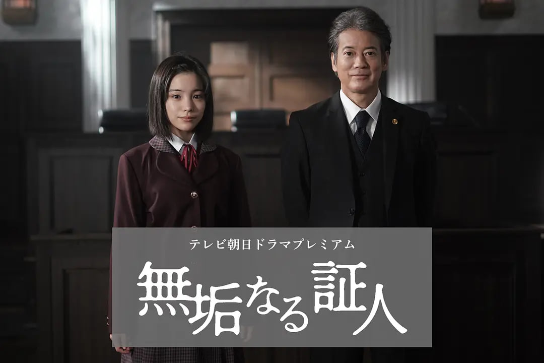 无垢的证人封面