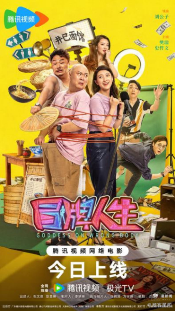 冒牌人生封面