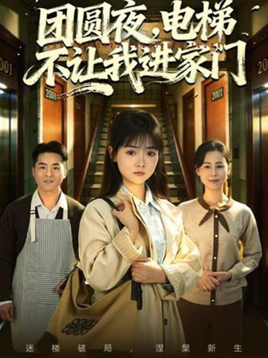 团圆夜，电梯不让我进家门封面