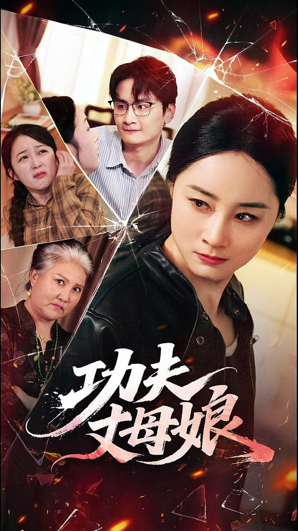 功夫丈母娘封面