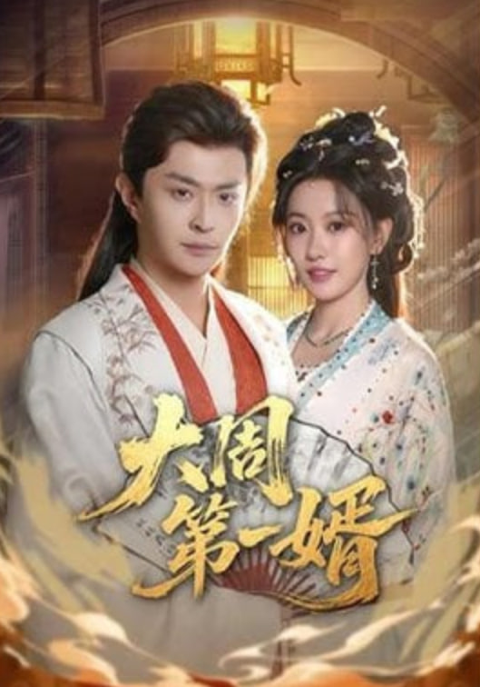 大周第一婿封面