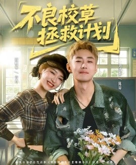 不良校草拯救计划封面