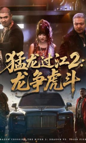 猛龙过江2：龙争虎斗封面