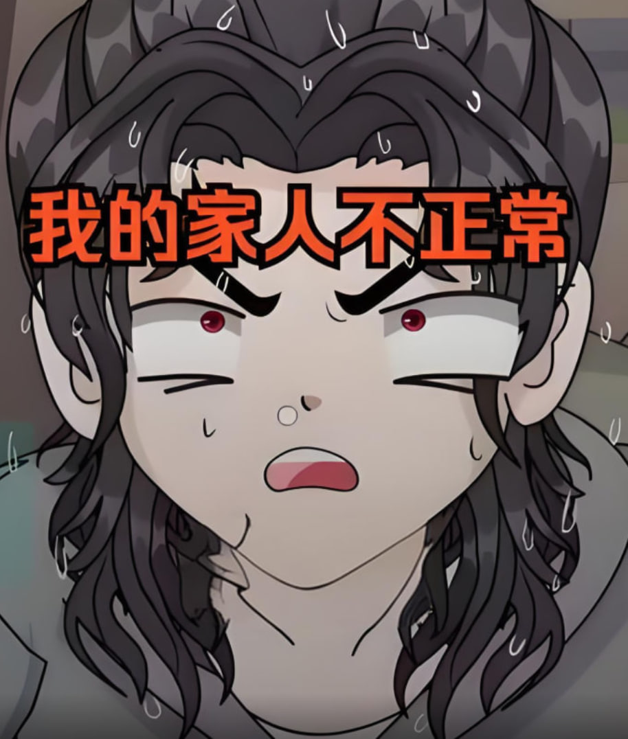 我的家人不正常封面