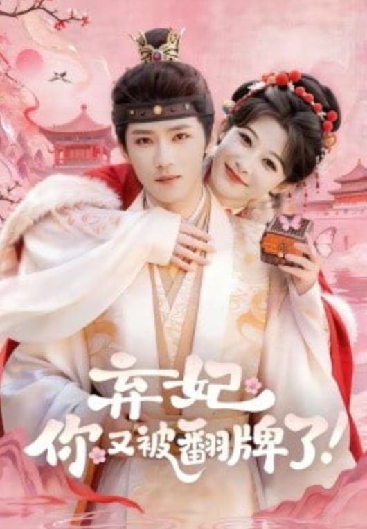 弃妃，你又被翻牌了封面