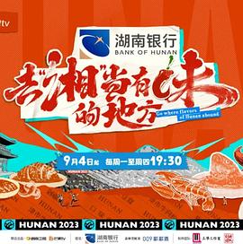 去“湘”当有味的地方封面