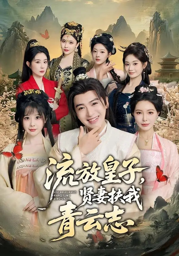 流放皇子，贤妻扶我青云志封面