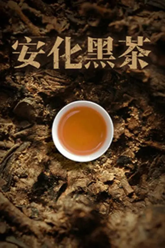 安化黑茶封面