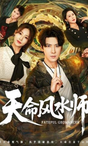 天命风水师封面