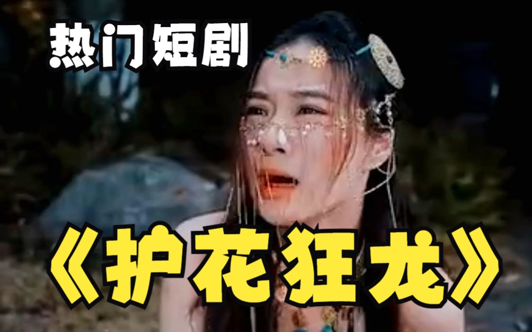 护花狂龙封面