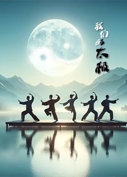 我们的太极封面