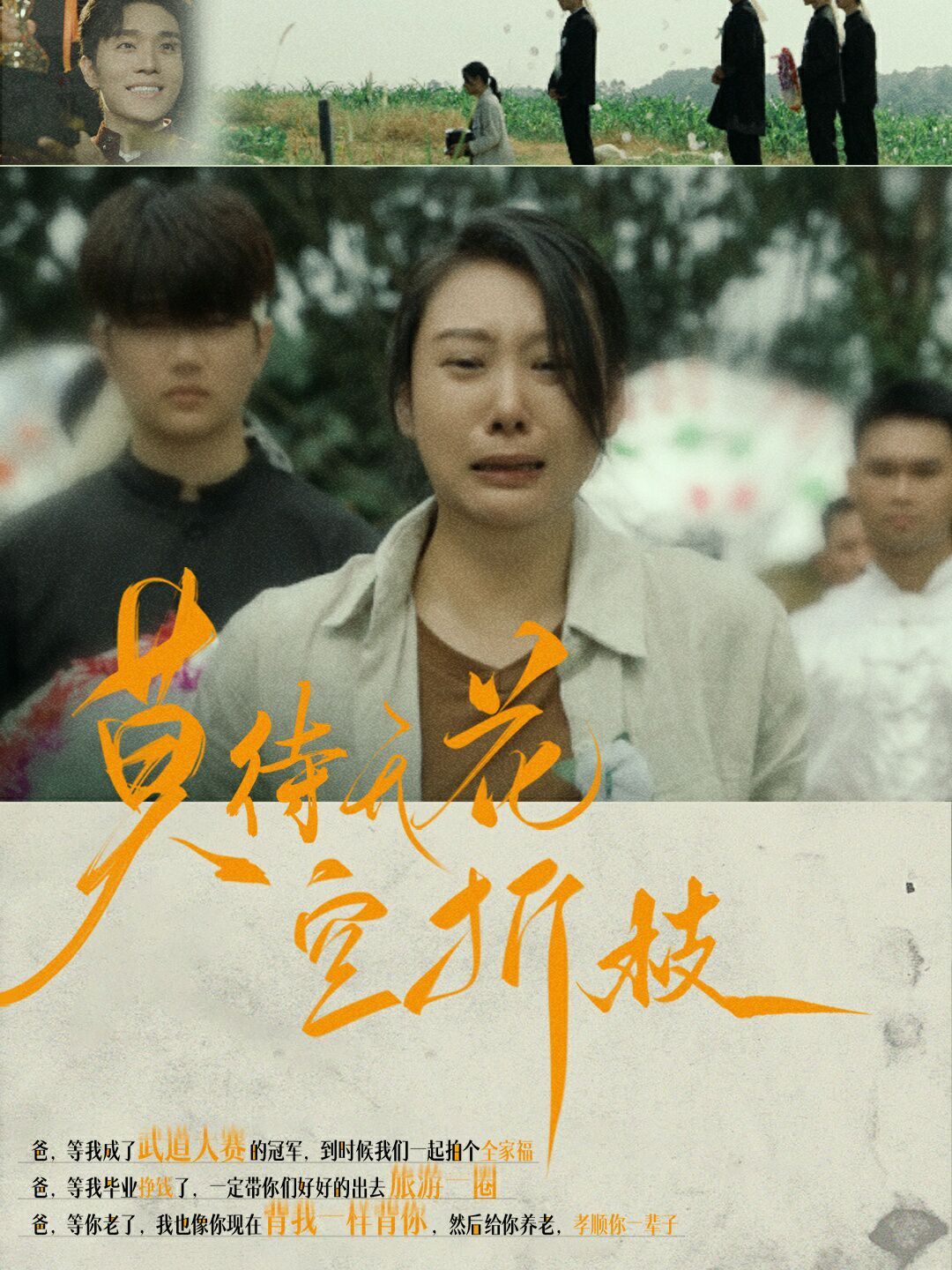 莫待无花空折枝封面