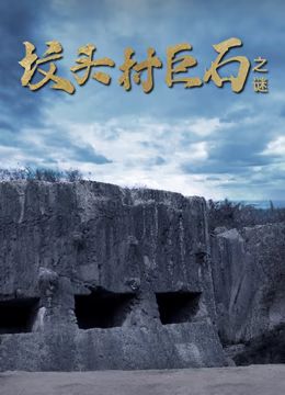 坟头村巨石之谜封面
