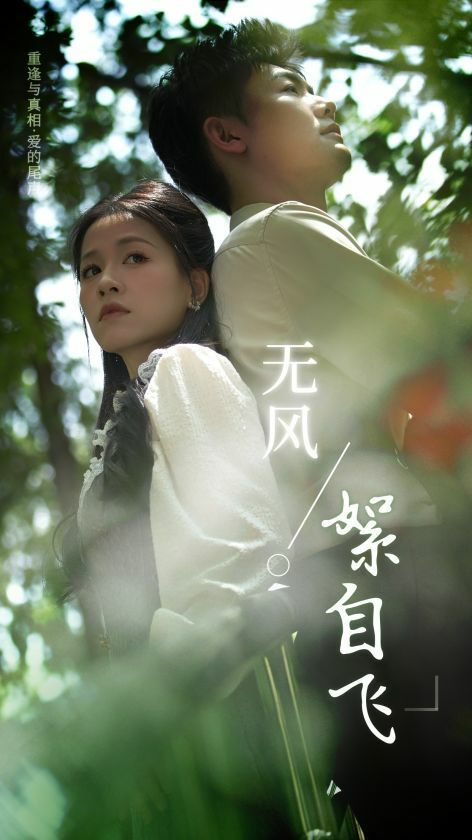 无风絮自飞封面