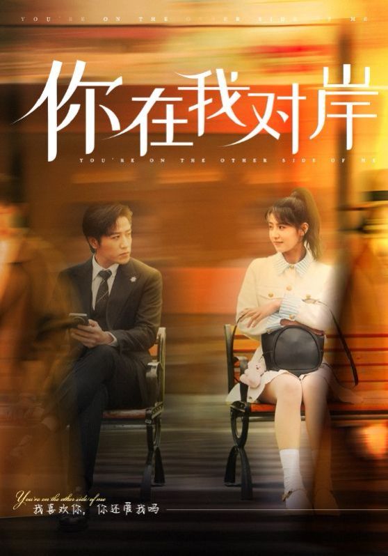 你在我对岸封面