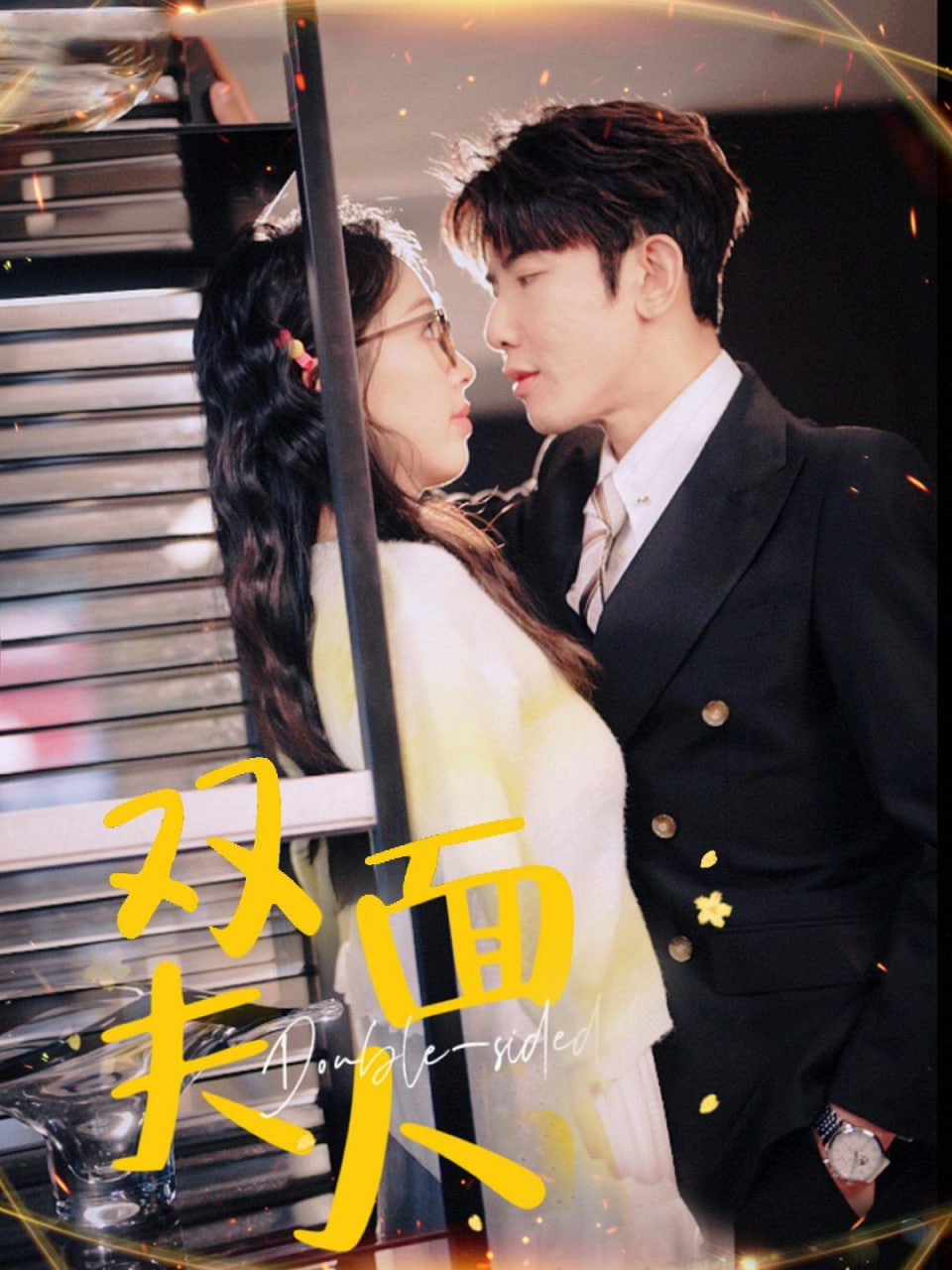 双面夫人封面