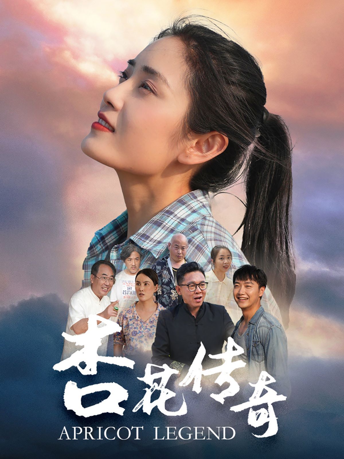 杏花传奇封面
