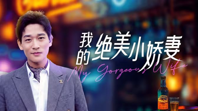 我的绝美小娇妻封面