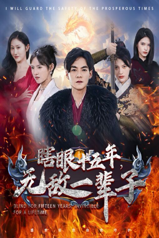 眼瞎十五年，无敌一辈子封面