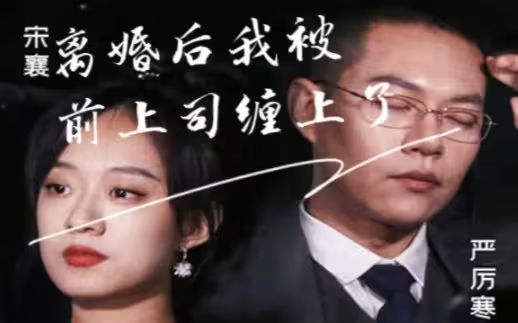 离婚后我被前上司缠上了封面