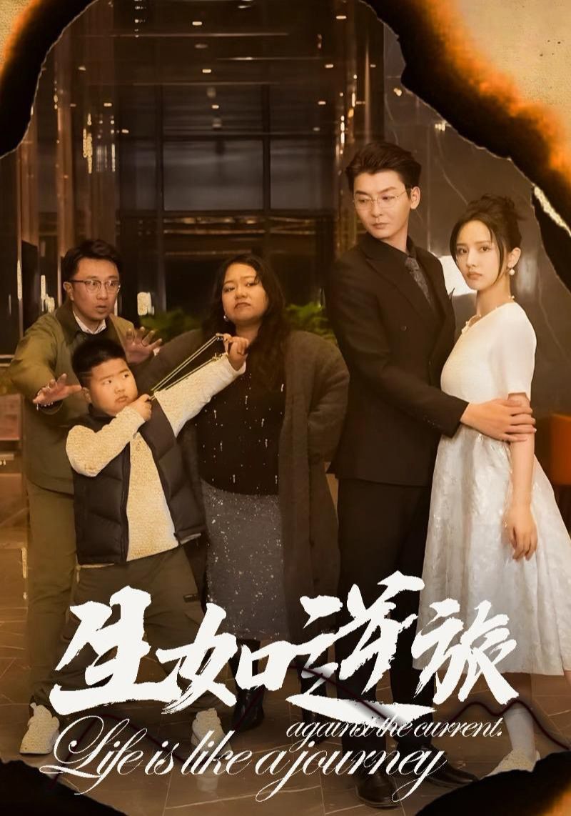 生如逆旅封面