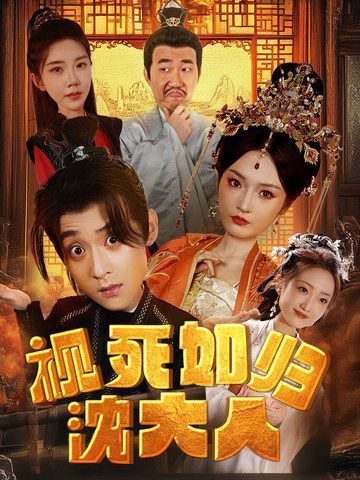 视死如归沈大人封面