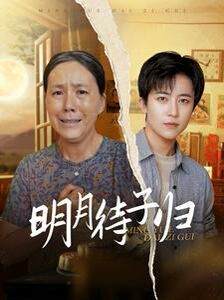明月待子归封面