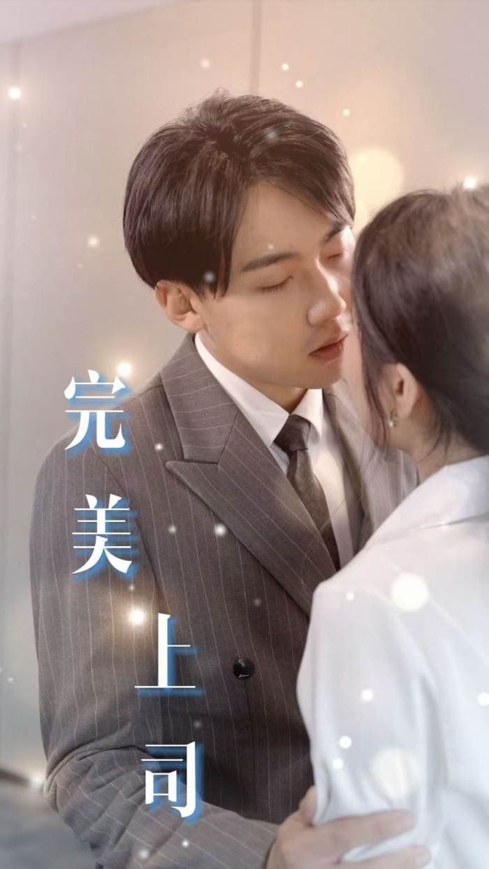 完美上司封面