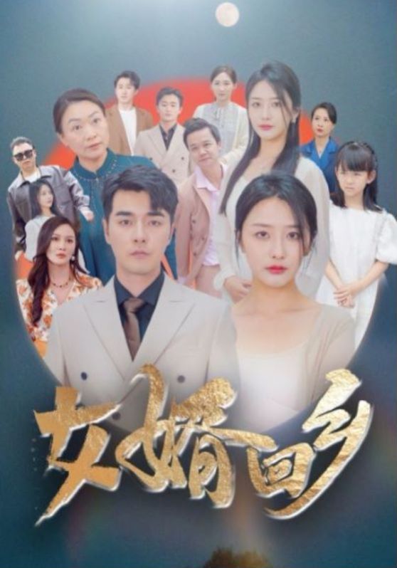 女婿回乡封面