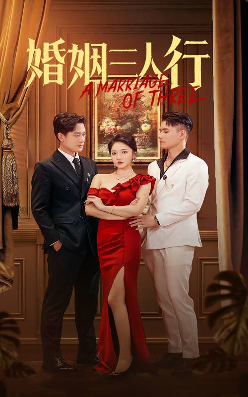 婚姻三人行封面