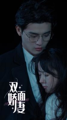 双面娇妻封面