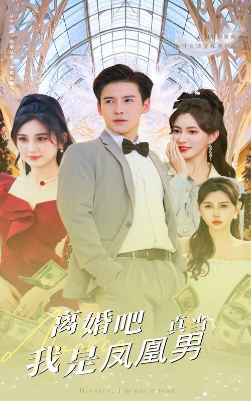 离婚吧真当我是凤凰男封面