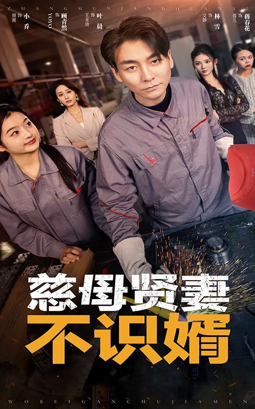 慈母贤妻不识婿封面