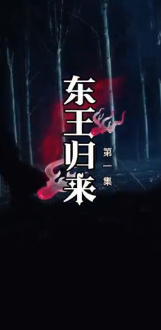 东王归来封面