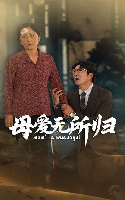 母爱无所归封面