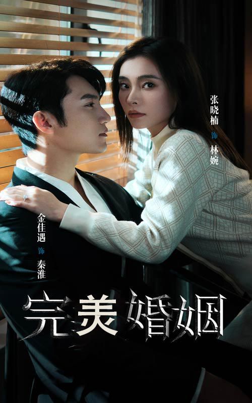 完美婚姻封面
