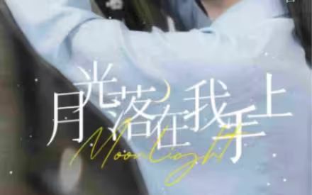 月亮落在我手上封面