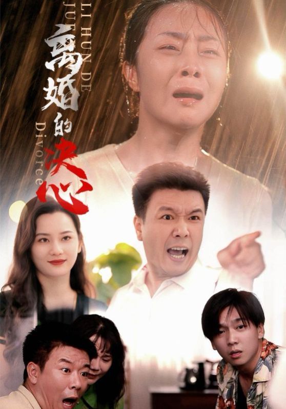 离婚的决心封面