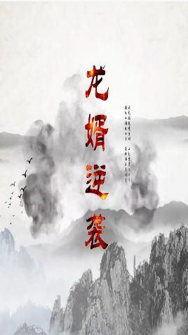龙婿逆袭封面