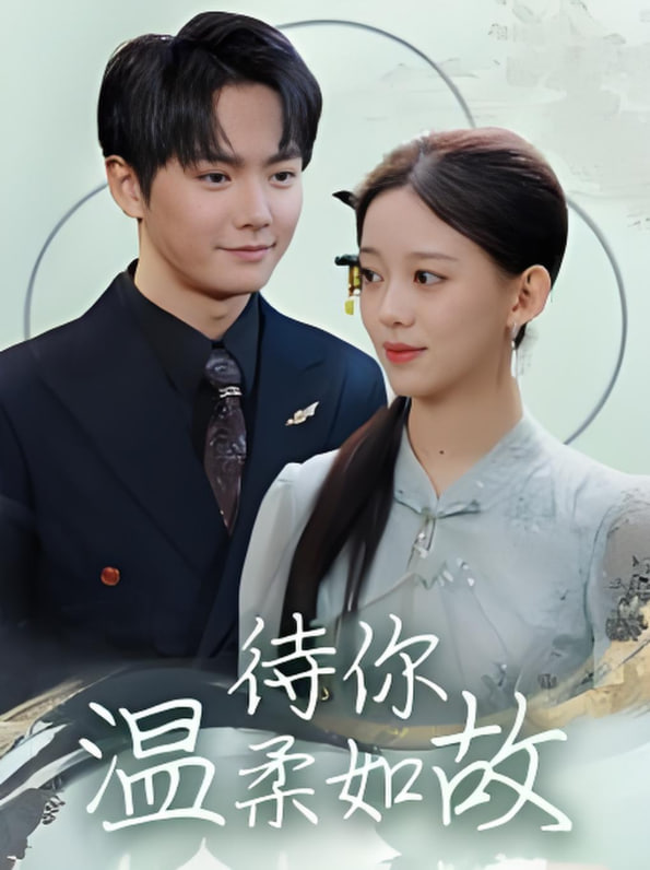 待你温柔如故封面