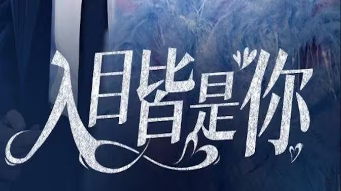 入目皆是你封面