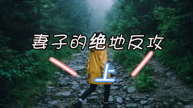 妻子的绝地反攻封面