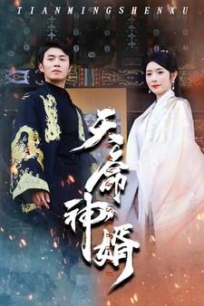 天命神婿封面