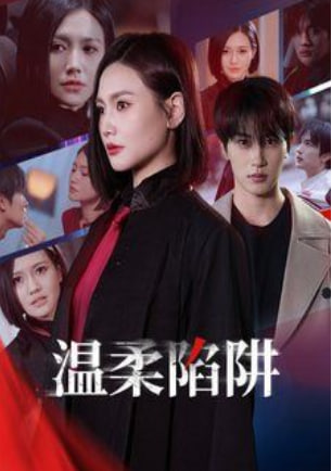 温柔陷阱封面