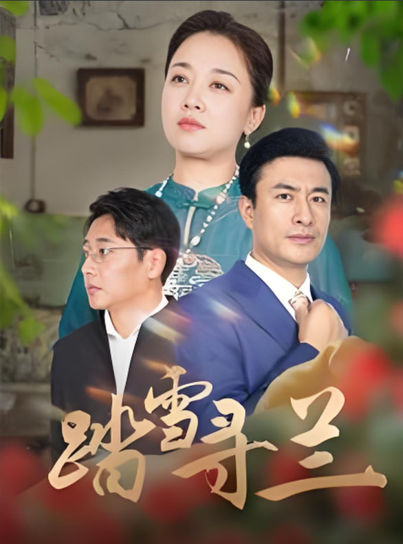 踏雪寻兰封面