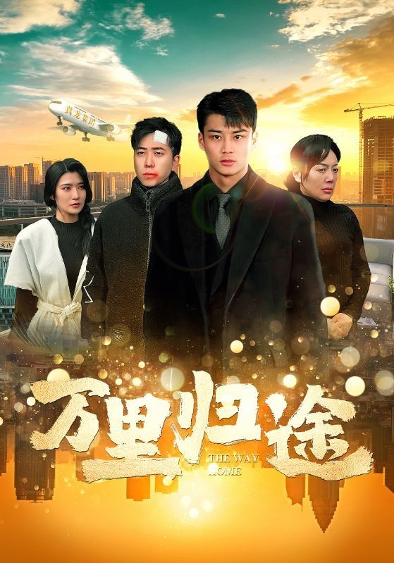 万里归途封面